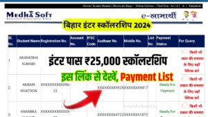 Bihar Board Inter Pass Scholarship 2024 Check Payment Status