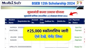 12th Scholarship Payment Status 2024 link